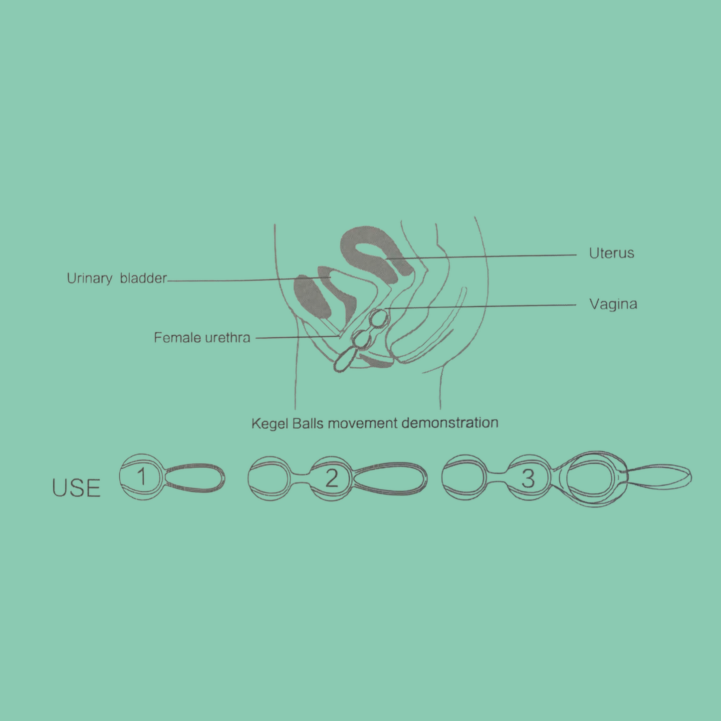 LOVER Bolas Kegel para ejercicios vaginales