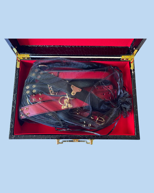 BDSM Edciion de lujo Kit 8 piezas de cuero en valija ROJO